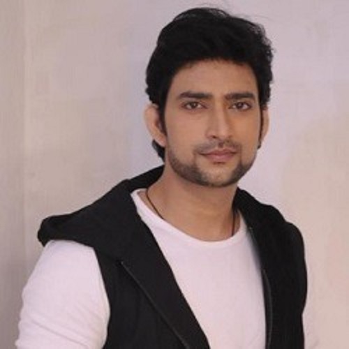 Aadesh Chaudhary Net Worth