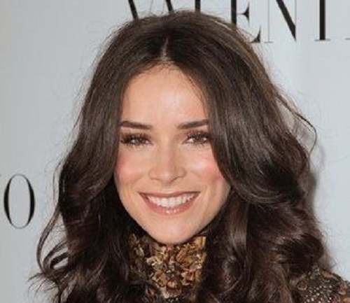 Abigail Spencer Net Worth