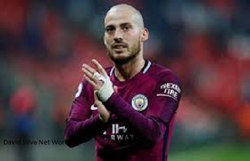 David Silva Net Worth