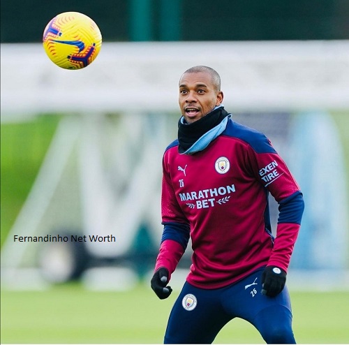 Fernandinho Net Worth