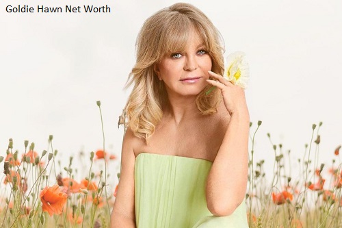 Goldie Hawn Net Worth