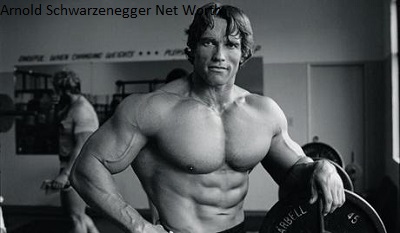 Arnold Schwarzenegger Net Worth