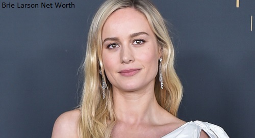 Brie Larson Net Worth