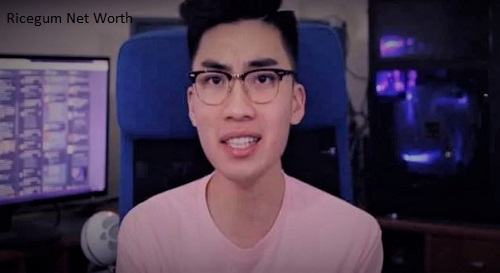 Ricegum Net Worth