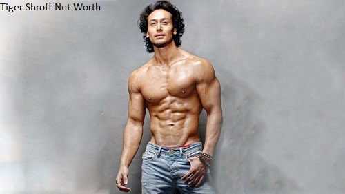 Tiger Shroff Net Worth