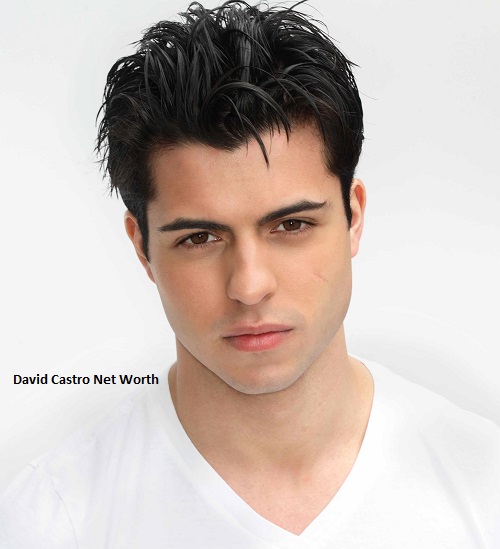 David Castro Net Worth