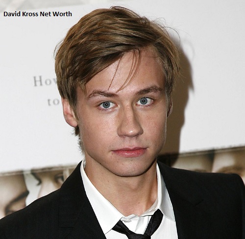 David Kross Net Worth