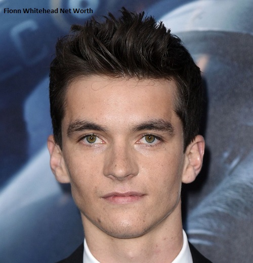 Fionn Whitehead Net Worth