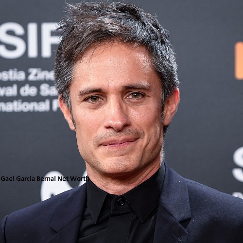 Gael Garcia Bernal Net Worth