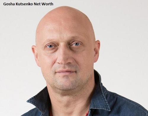 Gosha Kutsenko Net Worth