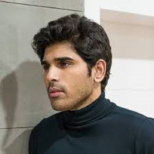 Allu Sirish Net Worth